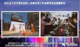 合肥地产爆料事件最新进展,最新进展揭秘，真相逐步浮出水面